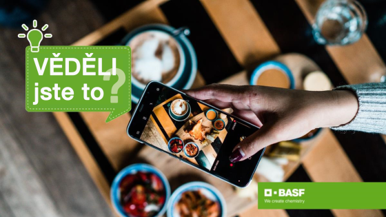 ženská ruka drží mobilní telefon nad naservírovaným jídlem a pořizuje fotografii