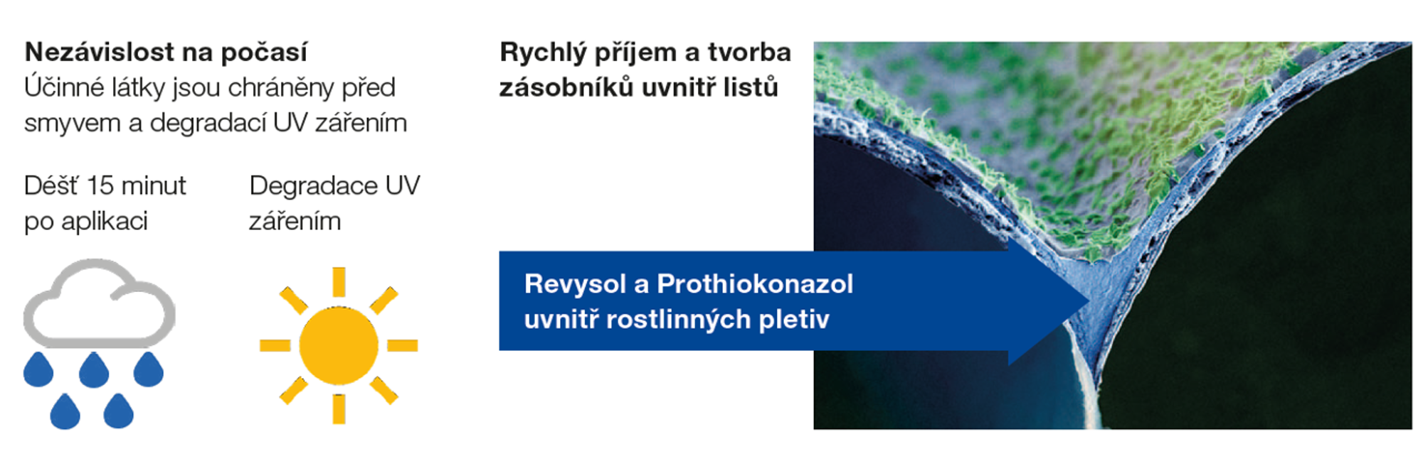 zásobníky účinné látky uložené v listu jsou k dispozici za každého počasí